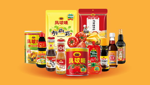 鳳球嘜 以戰(zhàn)略重塑品牌，用視覺(jué)點(diǎn)燃味蕾——調(diào)味品行業(yè)品牌全案策劃解析